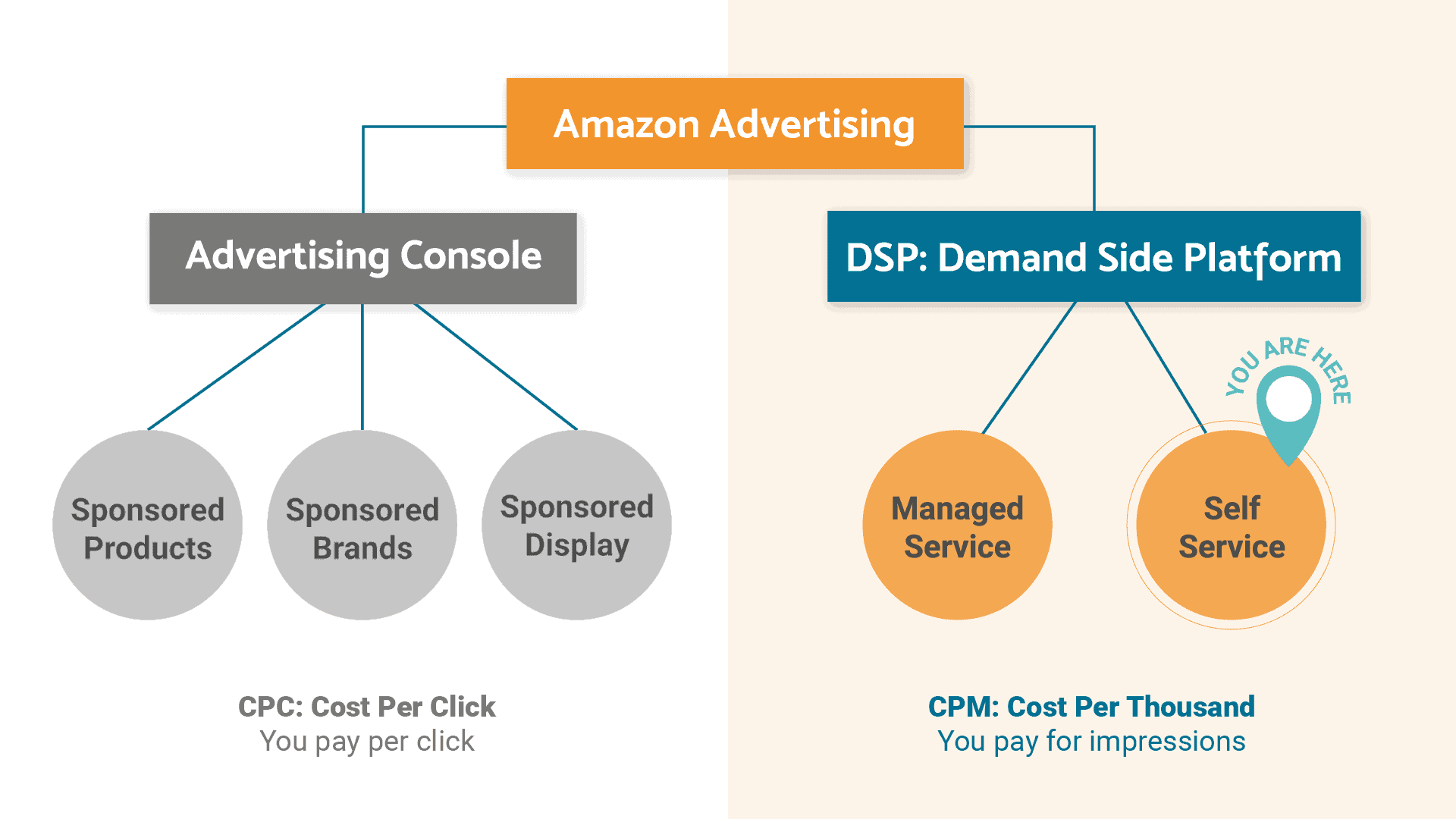 business plan for amazon dsp